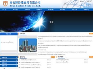 Pump Manufacturers China Xian Boshidi Seals Co.,Ltd.