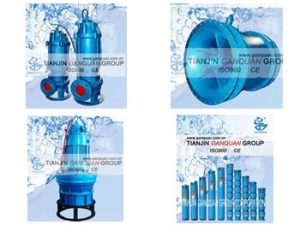 Pump Manufacturers China GanQuan Sewage Pump Corporation