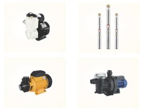 Pump Manufacturers CHINA ZHEJIANG AQUAROYAL INDUSTRIAL CO.,LIMITED